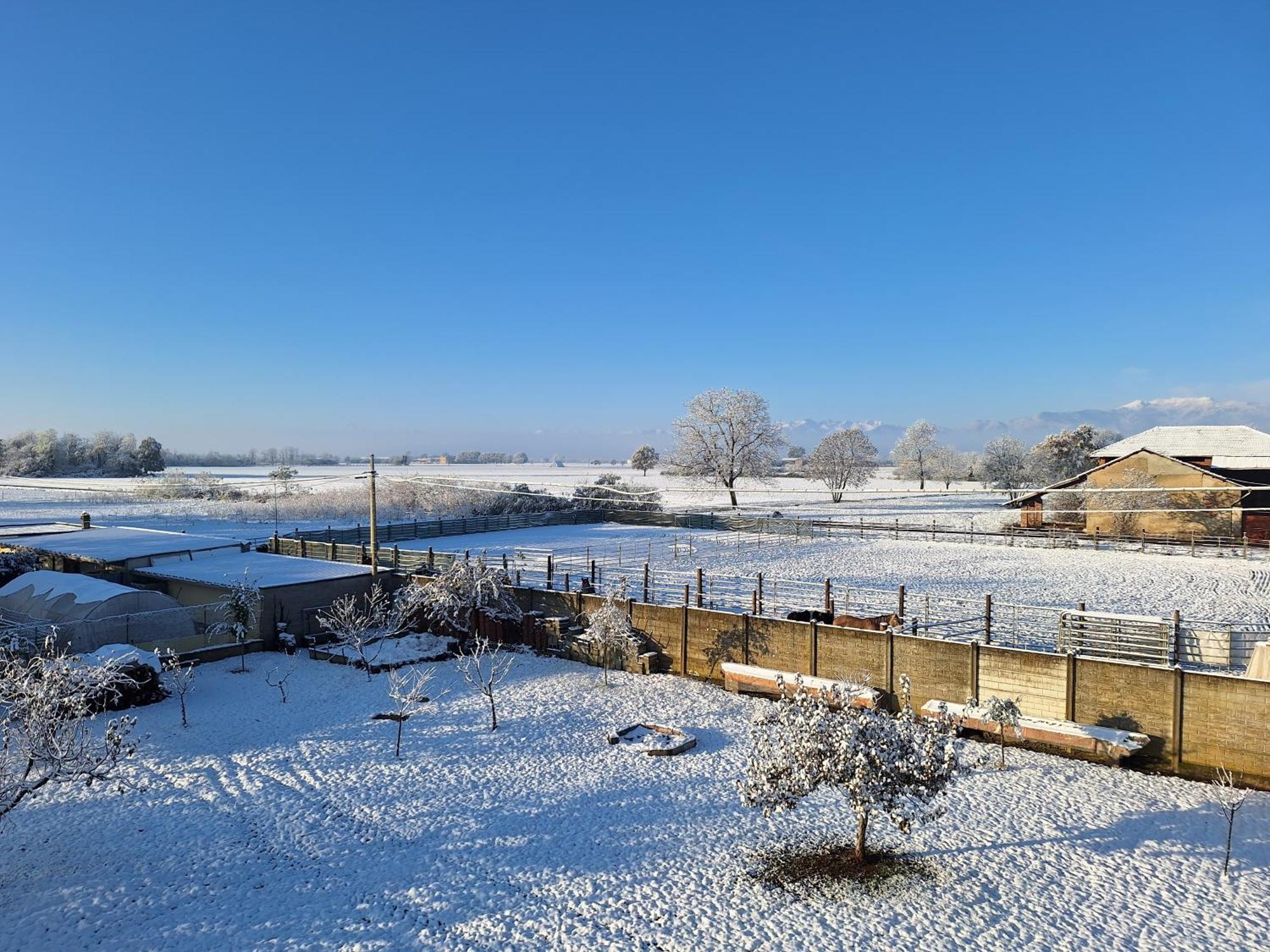 Villa Casa Matilde Leinì Esterno foto
