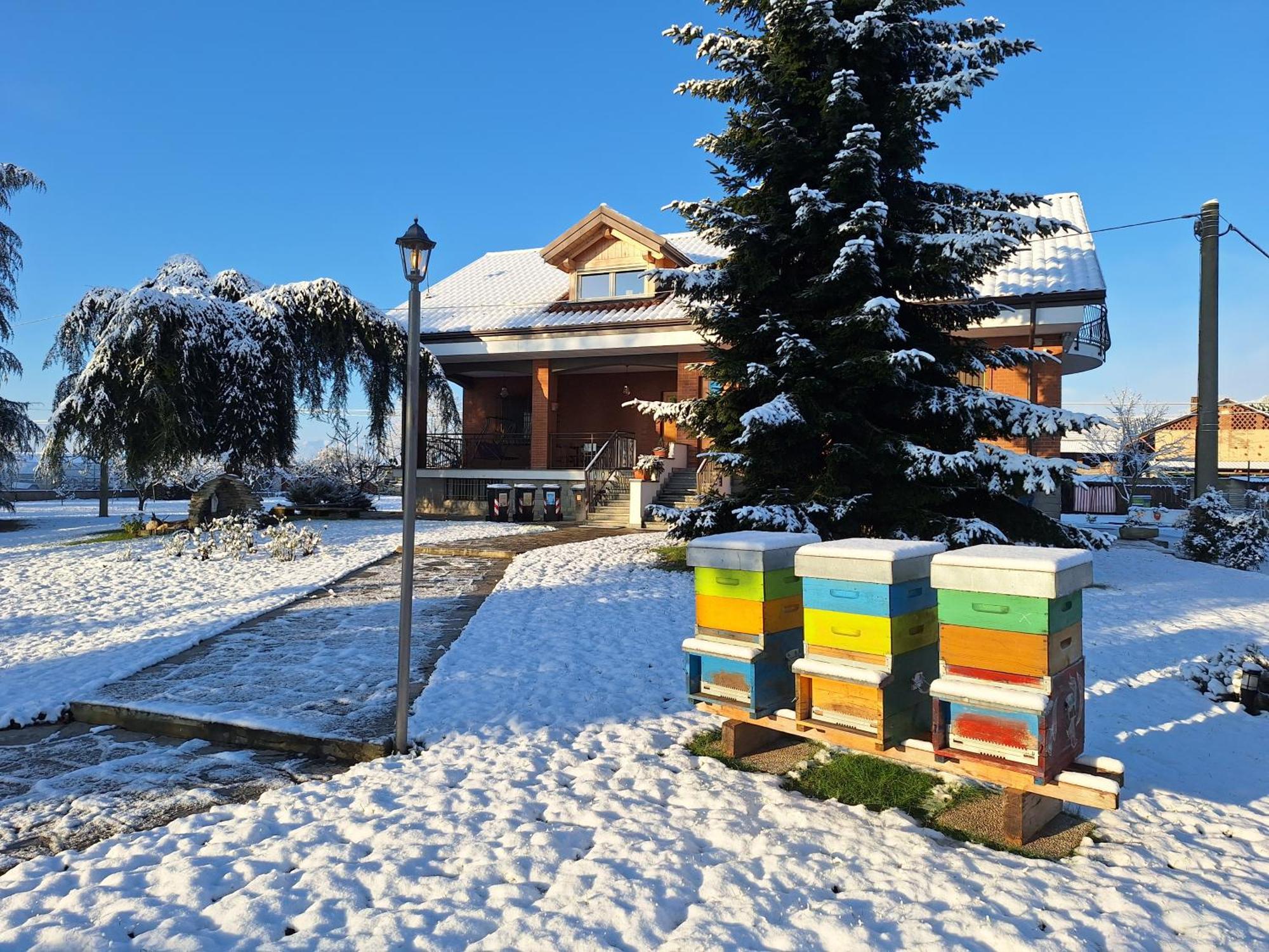 Villa Casa Matilde Leinì Esterno foto