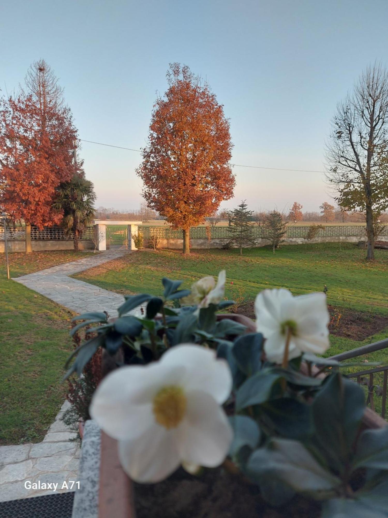 Villa Casa Matilde Leinì Esterno foto